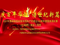 二等奖-铁合金 净达